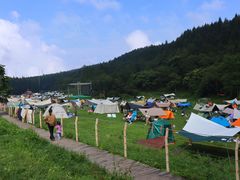 -武陵山森林公园