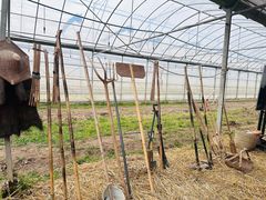 -九善农植有机生活农场