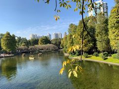 -晓港公园