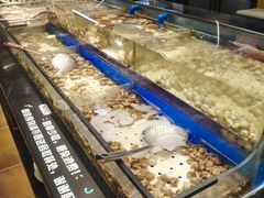 -韩盛炭火烤肉(万达广场店)