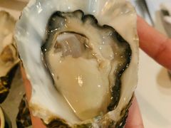 粉钻-Oyster Talks 四度蚝法餐厅