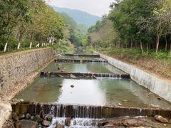 -广州白江湖森林公园