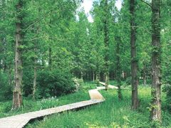 -国家植物园南园