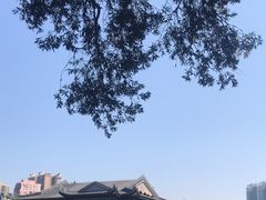 -荔湾湖公园