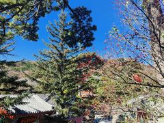 -妙峰山风景名胜区