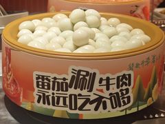 -龍歌自助小火锅(漳州二路爱购店)