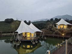 -帐篷客·溪龙茶谷度假酒店