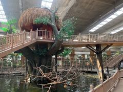 -南宫五洲植物乐园