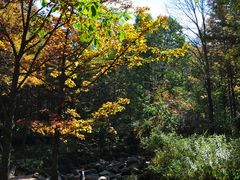 -洛阳白云山景区