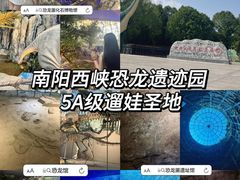 -中国西峡恐龙遗迹园