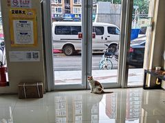 -宠福鑫动物医院(立水桥分院)