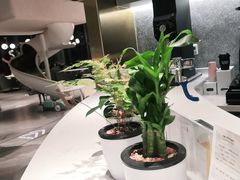 -NOKNOK若蔻亲子餐厅(天地壹方北馆店)
