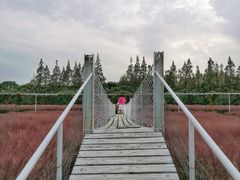 -嘉北郊野公园