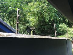 -白公馆