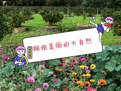 -前小桔亲子创意农场·草莓采摘·露营烧烤