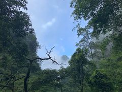 -峨眉山风景名胜区