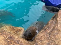 -海合安成都极地海洋公园