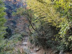 -庐山碧龙潭风景区