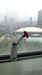 -海豚湾高端月子会所(黄浦店)