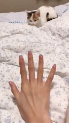 -J·C NAIL美甲美睫