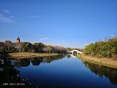 -上海海湾国家森林公园