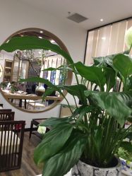 -In Style Hair Salon