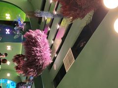 -浩海火烧云傣家菜(京广店)