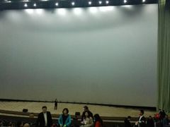 -天幕新彩云国际影城(激光巨幕店)