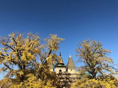 -北京石刻艺术博物馆(五塔寺)