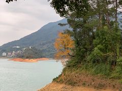 -广州市流溪河国家森林公园
