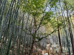 -敬亭山风景名胜区