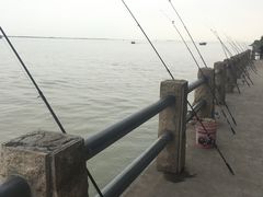 -南沙十九涌渔人码头-南门