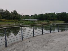 -贡湖湾湿地公园