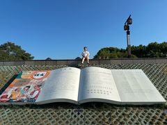 -观潮胜地公园
