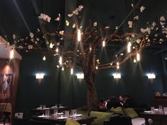 店内布置-梧桐树下(云锦世家店)