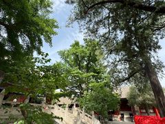 -红螺寺