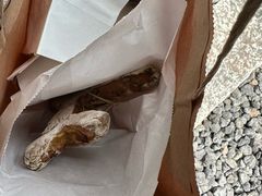 -Pain des Philosophes