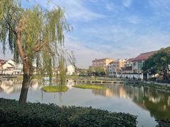 -金山嘴渔村