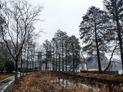 -东湖落雁景区