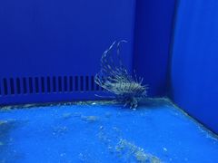 -石家庄海洋公园