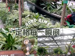 -南宫五洲植物乐园