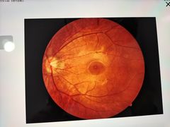 -海珠新都荟城光荟(海珠店)