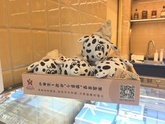 -CREAM STORY意大利手工冰淇淋&甜品(万象前海店)