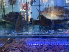 -日照大牌檔•小船海鲜(万平口店)