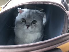 -乐宠宠物店(世纪金源店)