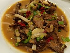 -新疆巴州金丝特餐厅(大钟寺店)