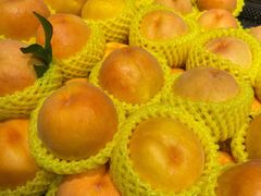 -T11生鲜超市(朝阳公园店)