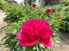 -国家植物园南园