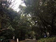 -热田神宫