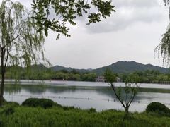 -西湖外事游船(花港观鱼码头)